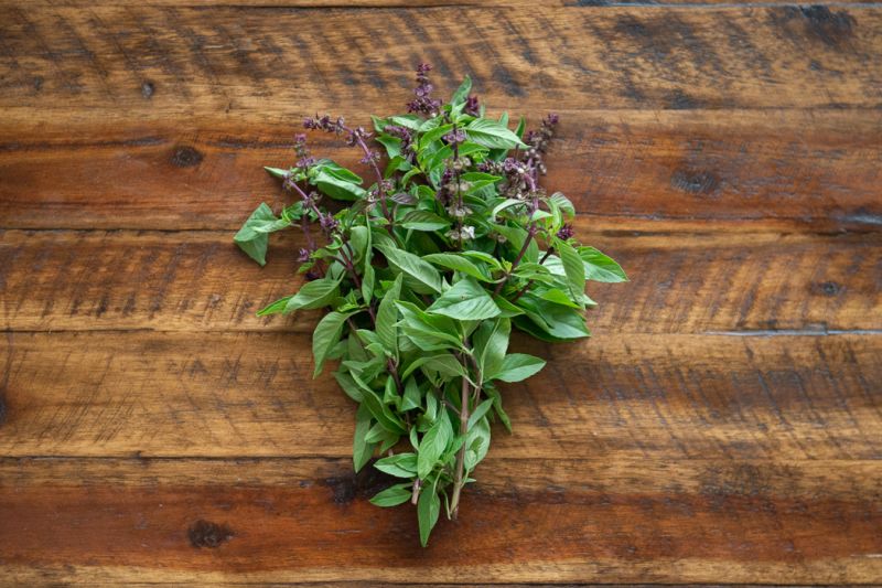 Organic Thai Basil
