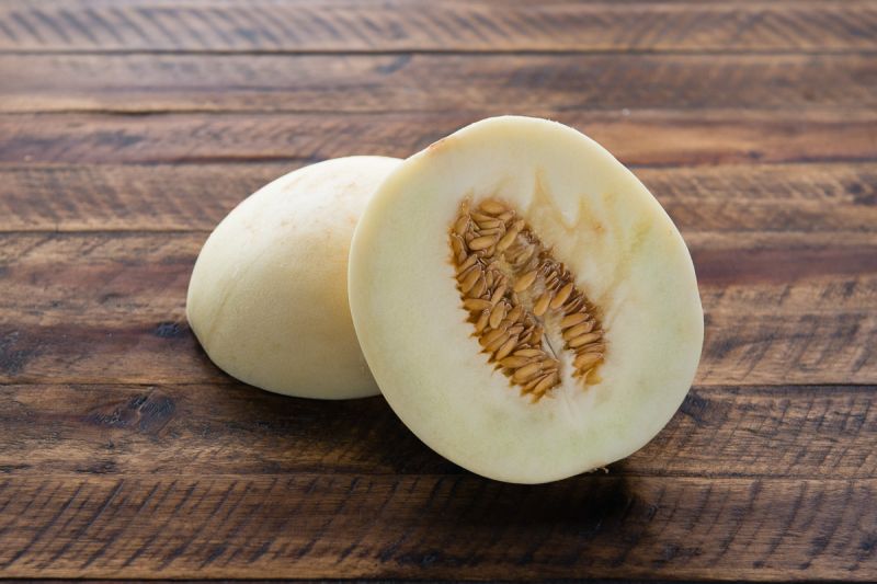 Galia Melon