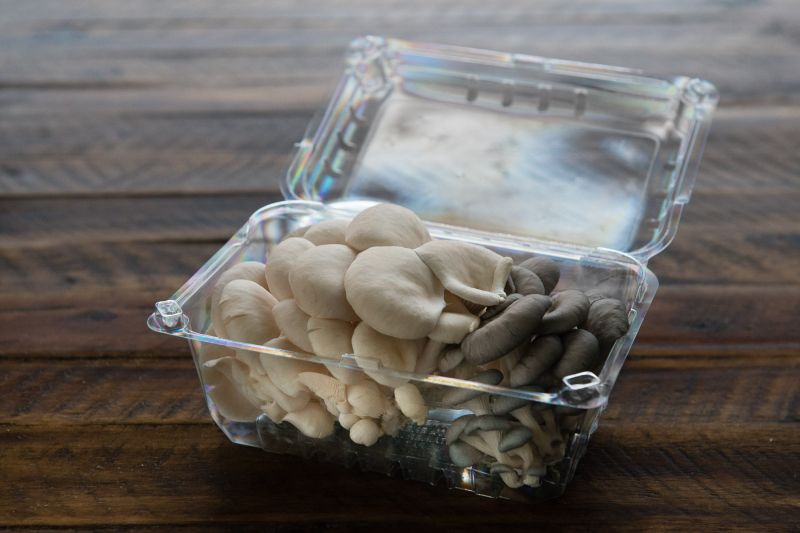 Oyster Mix Mushrooms