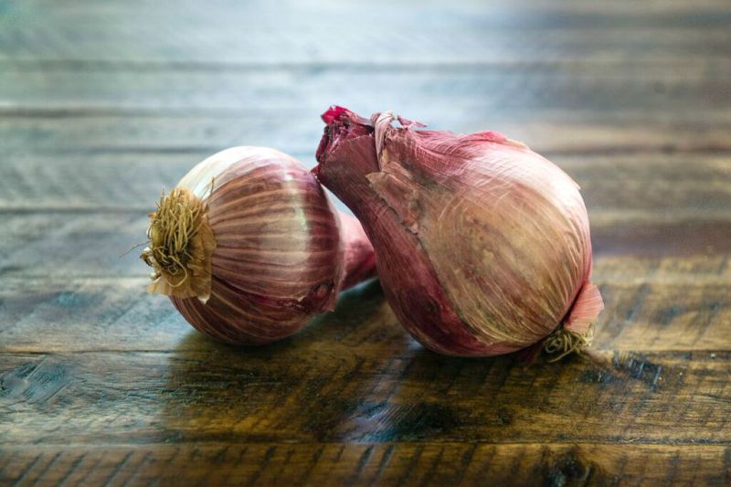 Organic Red Onions 1