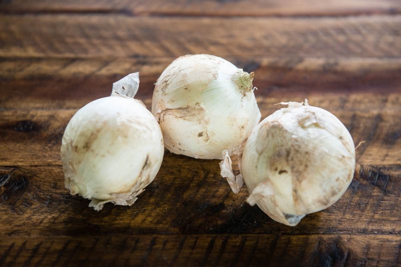Organic White Onions