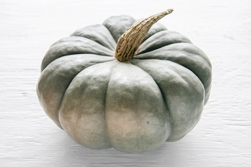 Blue Jarrahdale Pumpkins Pumpkin Pyle Farmhouse Delivery