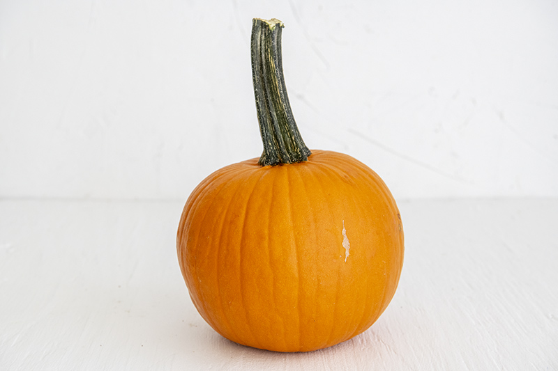 Sugar Pie Pumpkin