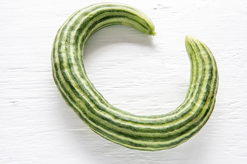 Organic Armenian Cucumbers