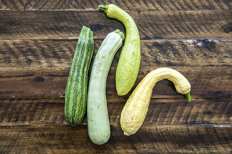 Mixed Italian Heirloom Summer Squash