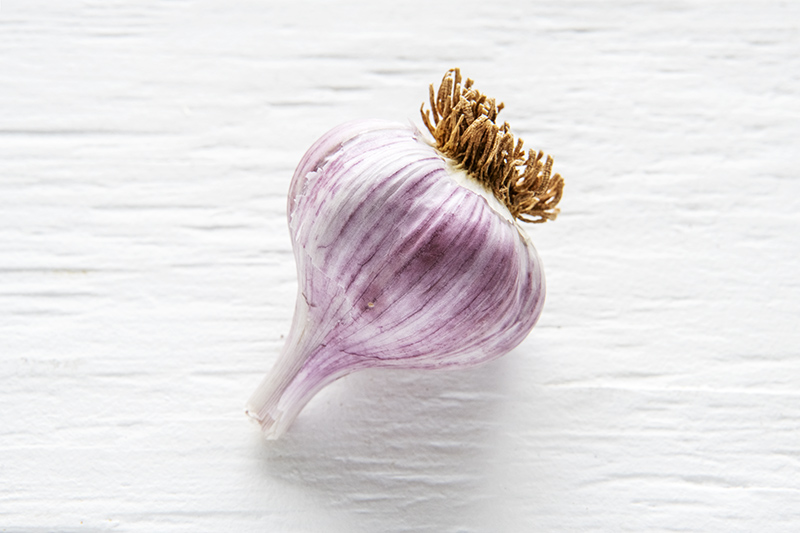 Organic Chesnok Red Garlic