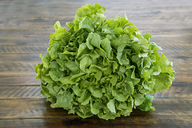 Escarole