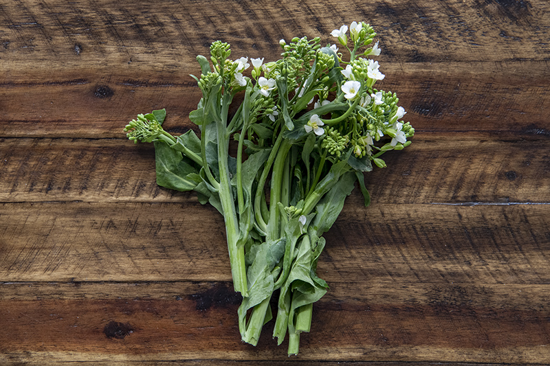 Chinese Broccoli