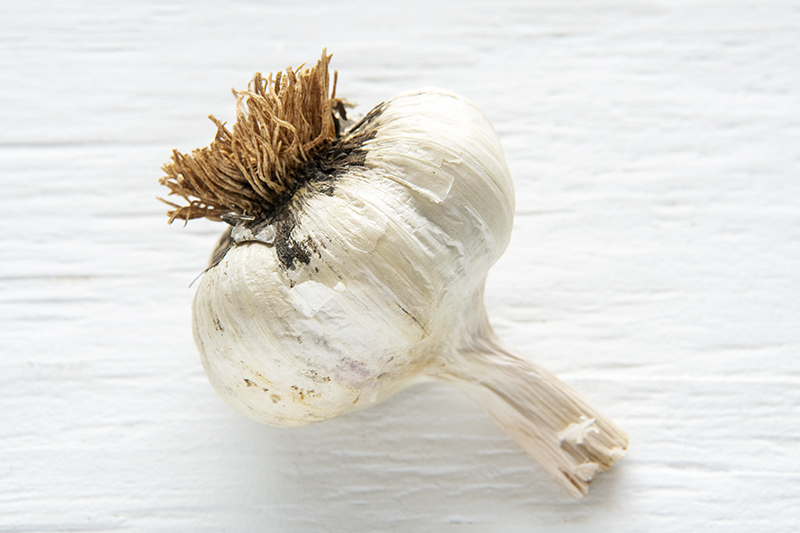 Organic Lorz Italian Garlic
