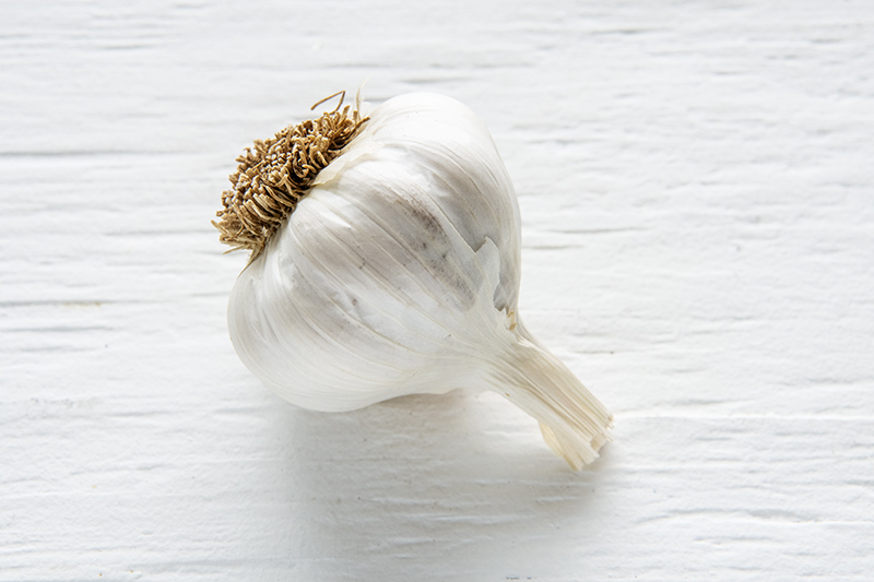 Organic S & H Silver Garlic
