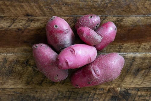 Organic Red Amarosa Fingerling Potatoes