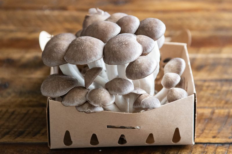 Black Pearl Mushrooms