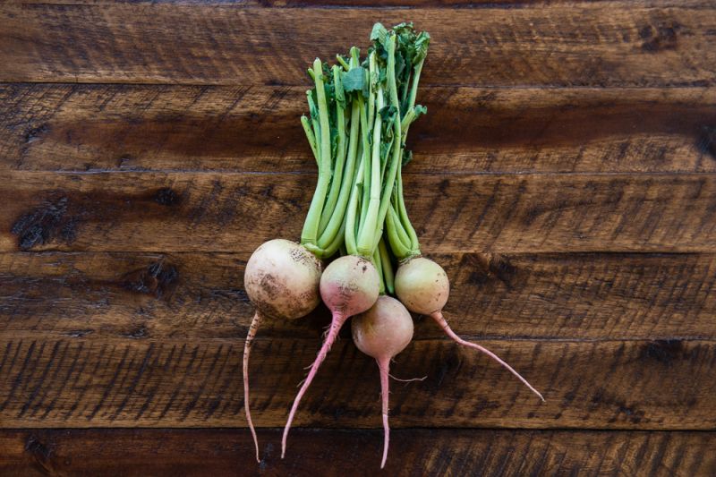 Organic Watermelon Radish 2