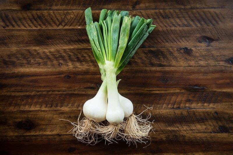 White Spring Onions