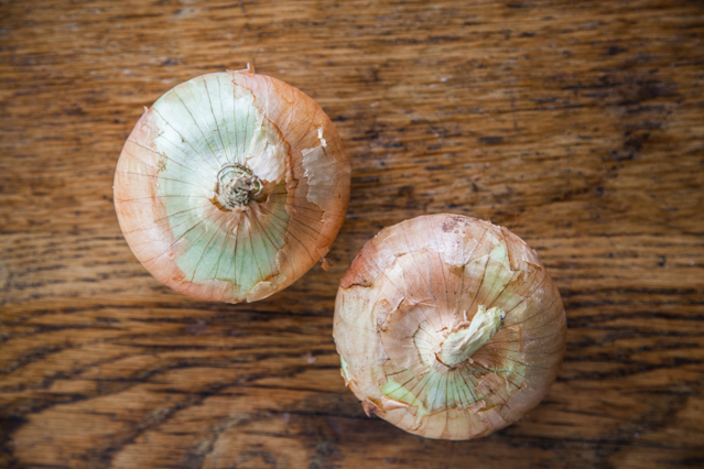 Organic Jumbo Yellow Onion (3 lbs)