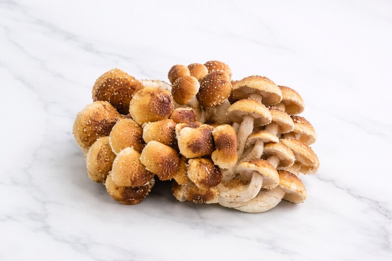 Organic Chestnut Mushrooms