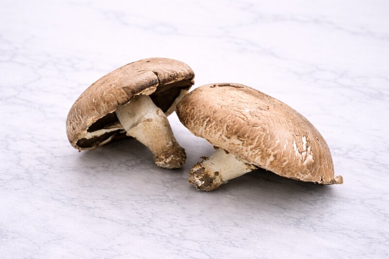 Portabello Mushrooms