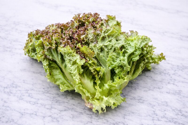 Red Leaf Lettuce
