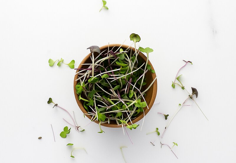 Rainbow Microgreens Mix