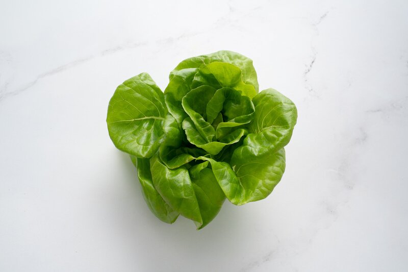 Organic Green Butterhead Lettuce