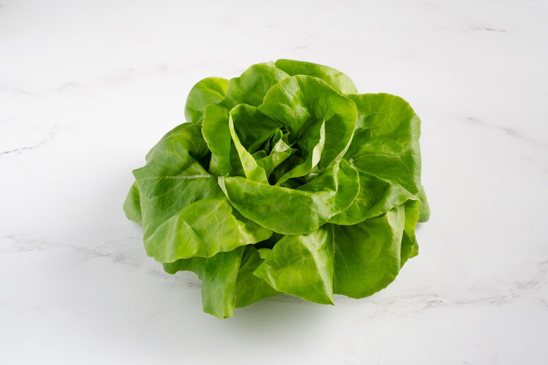 Organic Green Butterhead Lettuce
