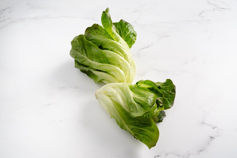 Organic Baby Romaine Lettuce