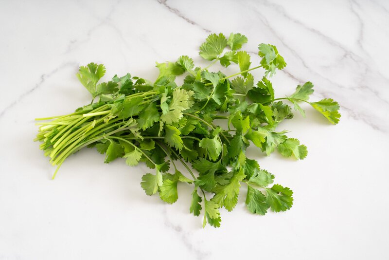 Cilantro