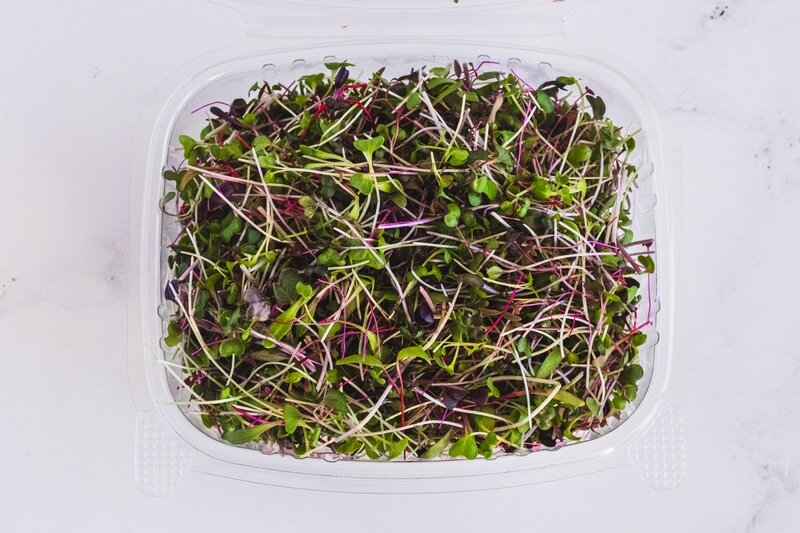 Rainbow Microgreens Mix