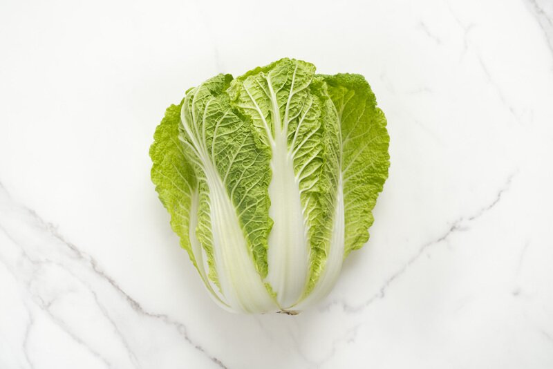 Napa Cabbage